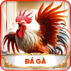 Đá gà J88
