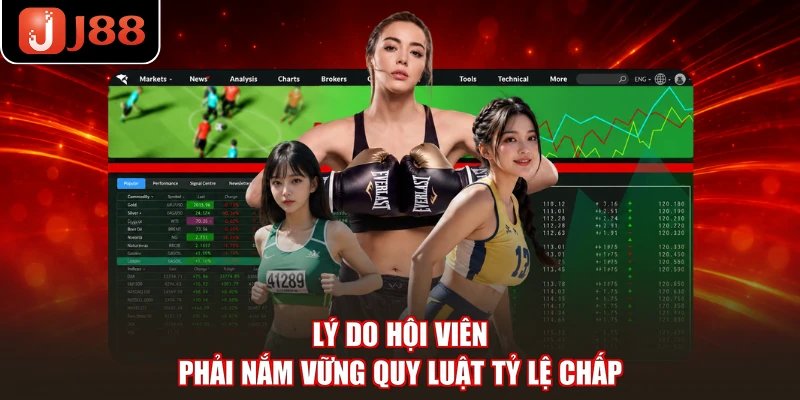 Lý do hội viên phải nắm vững quy luật tỷ lệ chấp